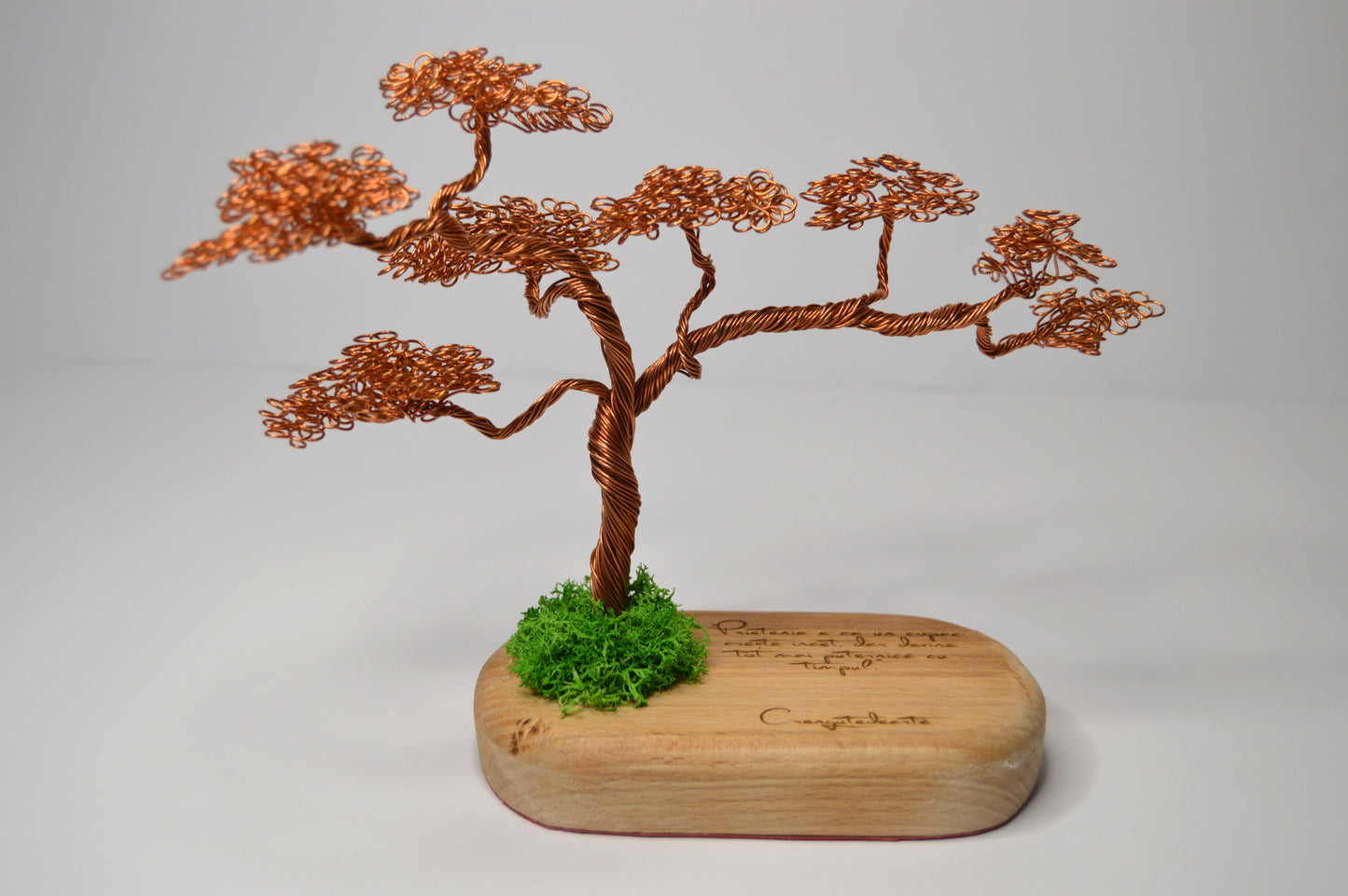 Bonsai Armonia – Artă și Natură Împletite Manual