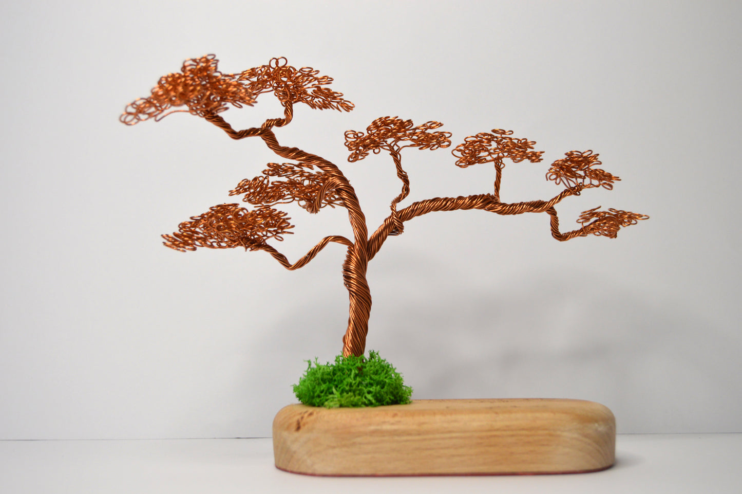 Bonsai Armonia – Artă și Natură Împletite Manual