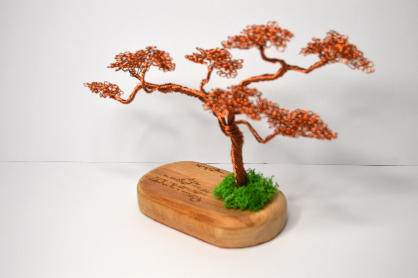 Bonsai Armonia – Artă și Natură Împletite Manual