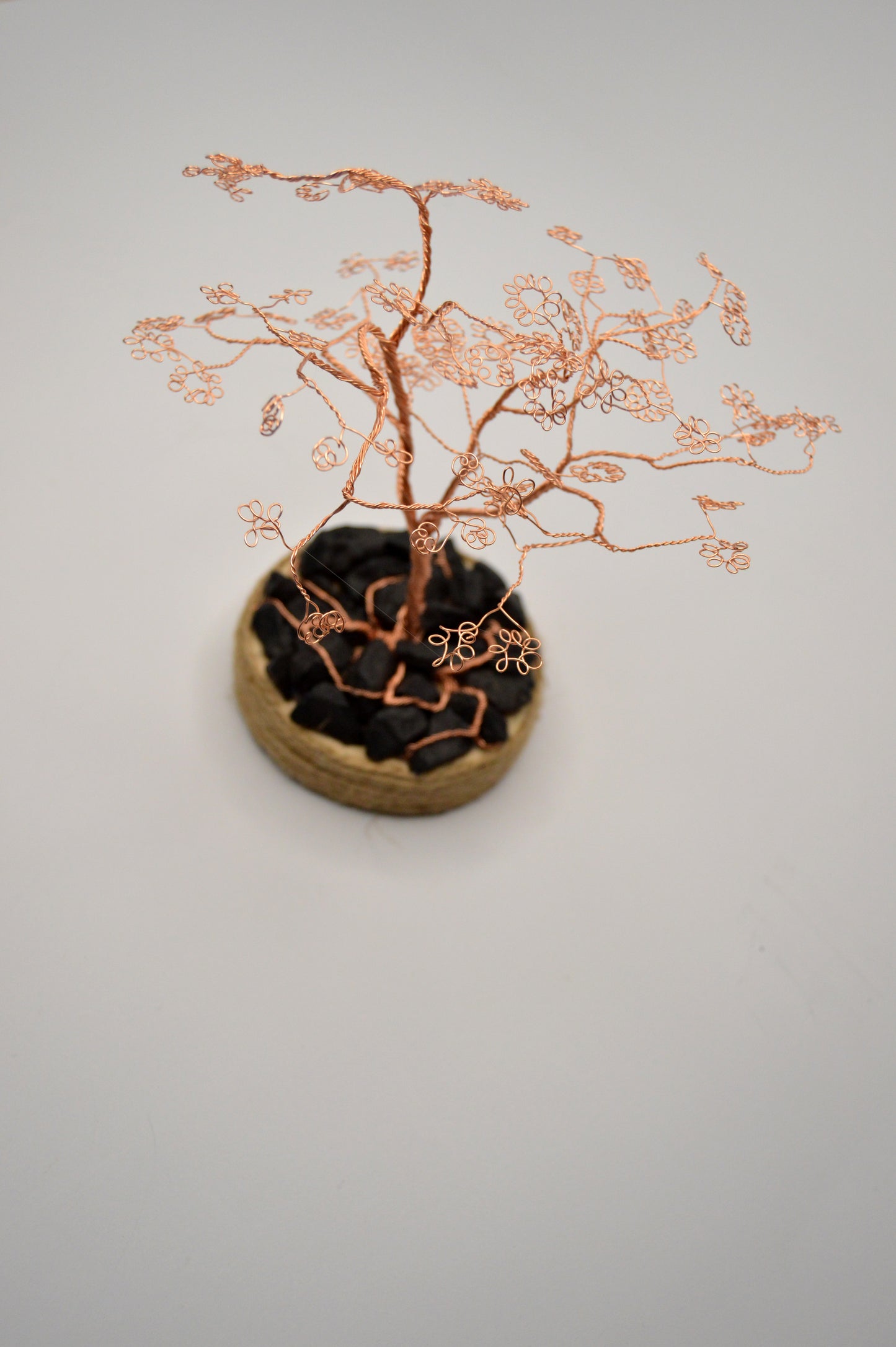 Copacul Armoniei – Rădăcini cu sens