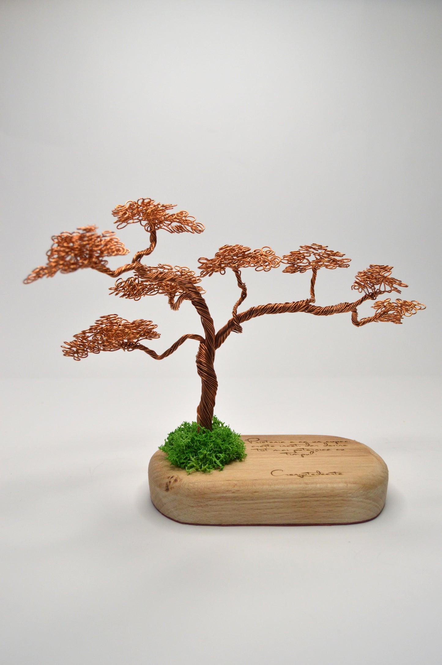 Bonsai Armonia – Artă și Natură Împletite Manual