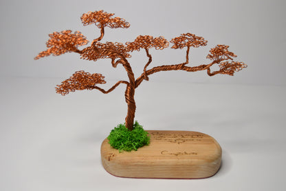 Bonsai Armonia – Artă și Natură Împletite Manual