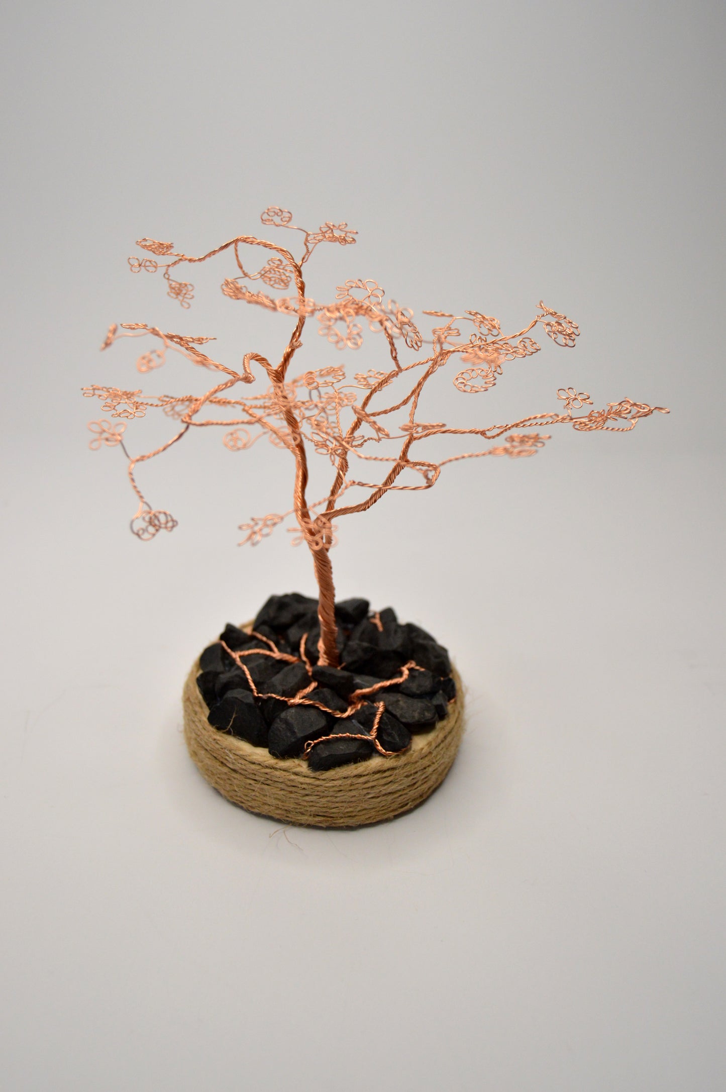 Copacul Armoniei – Rădăcini cu sens