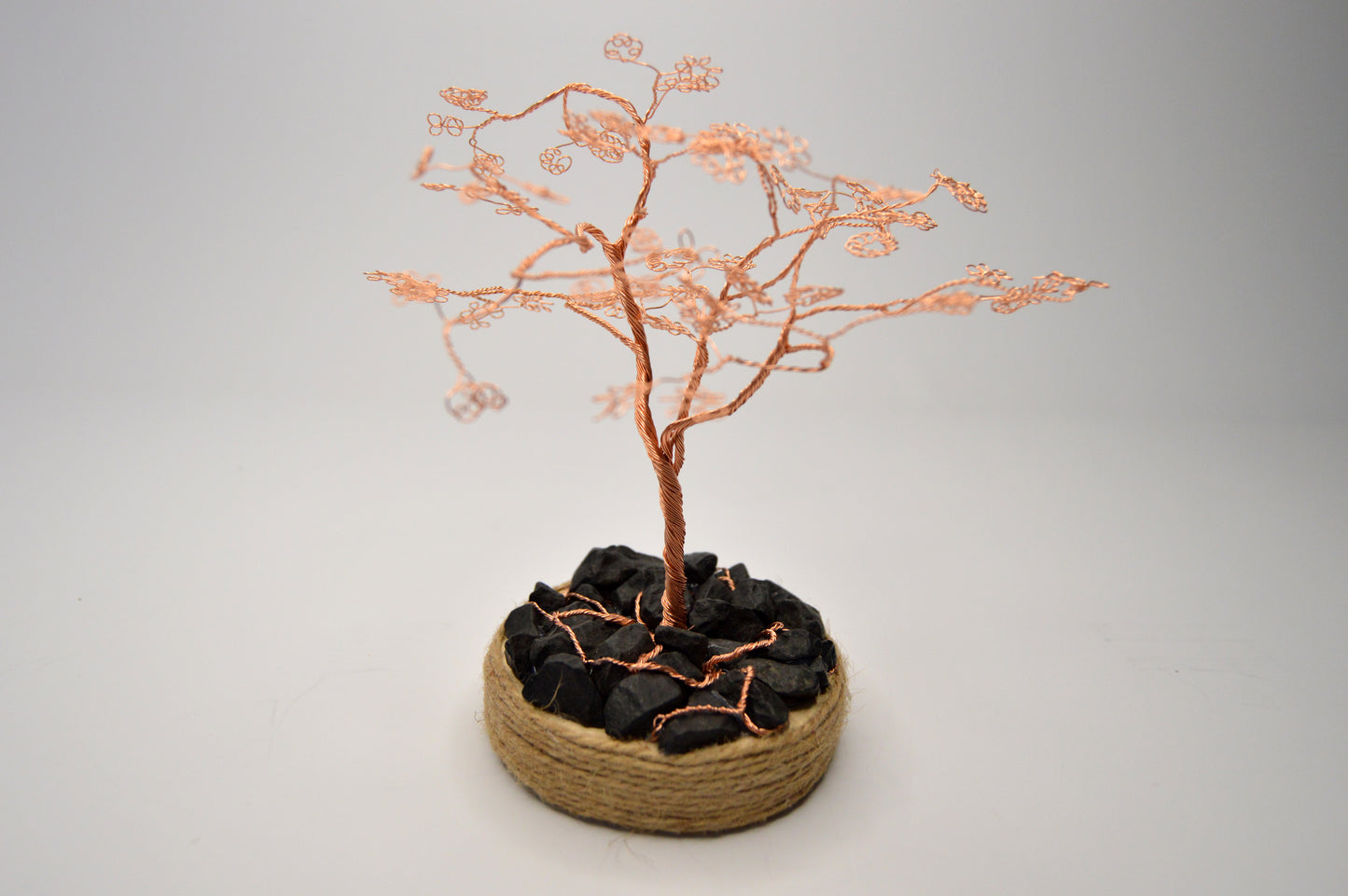 Copacul Armoniei – Rădăcini cu sens