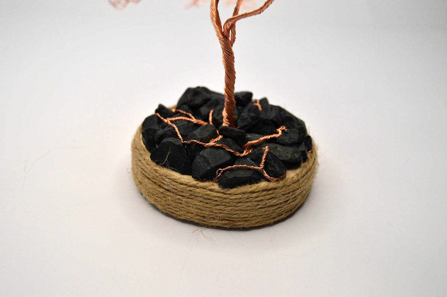 Copacul Armoniei – Rădăcini cu sens