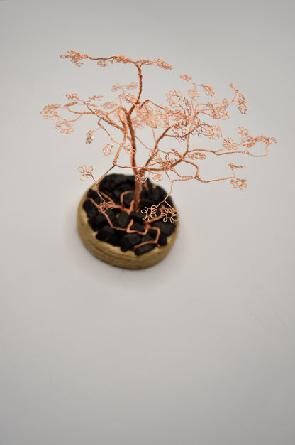 Copacul Armoniei – Rădăcini cu sens