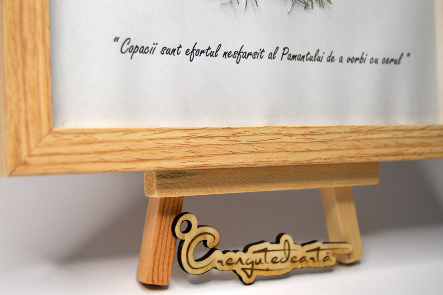 Copacul Amintirilor – Punte între Trecut și Prezent