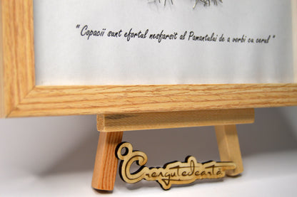 Copacul Amintirilor – Punte între Trecut și Prezent