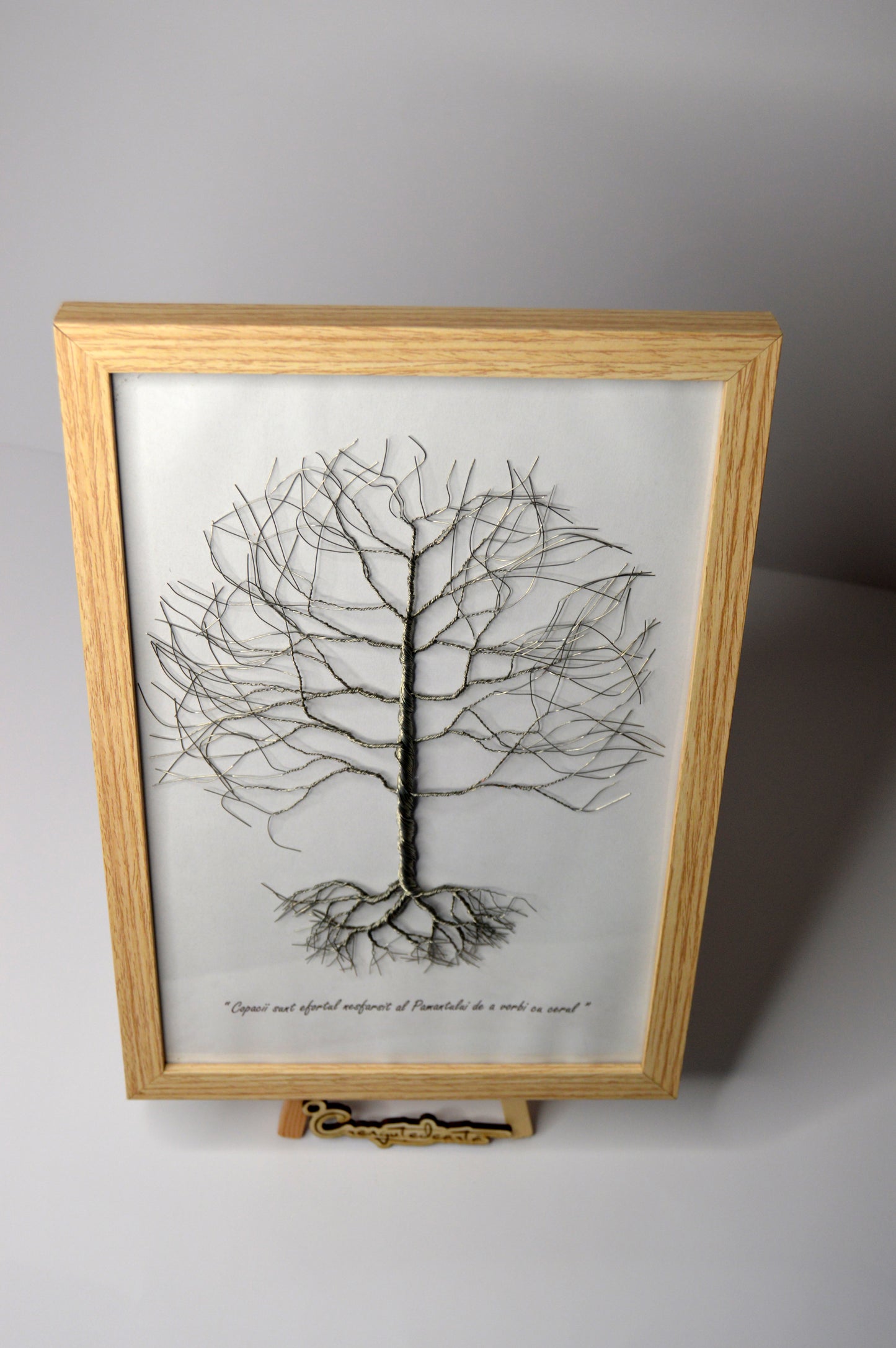 Copacul Amintirilor – Punte între Trecut și Prezent