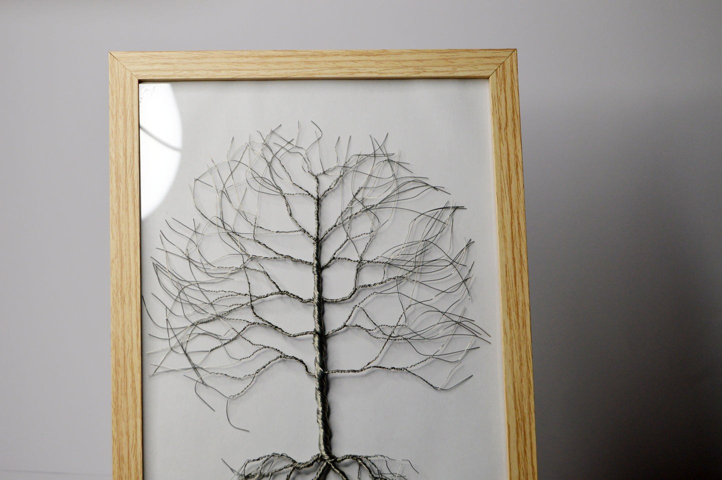 Copacul Amintirilor – Punte între Trecut și Prezent