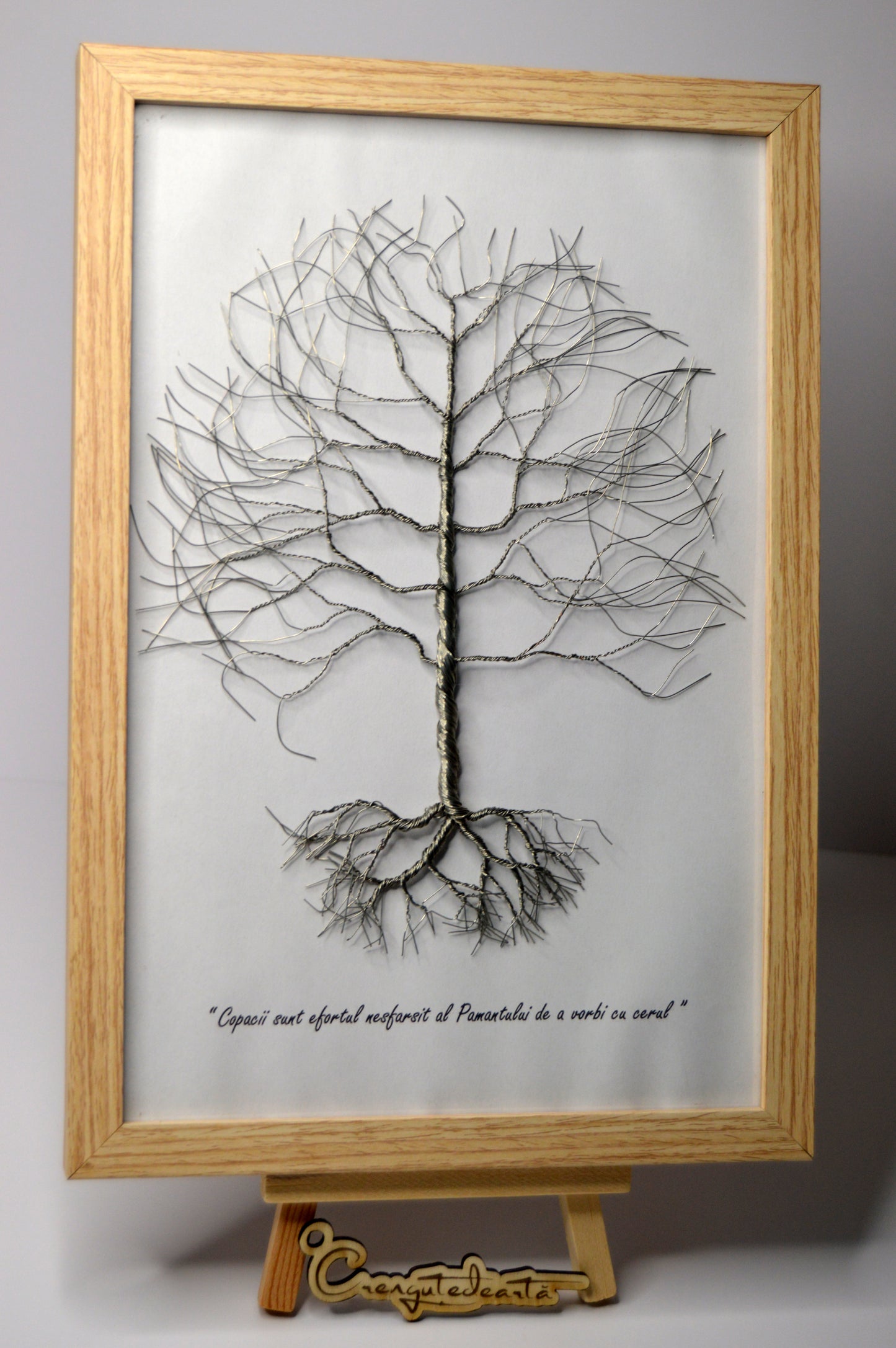 Copacul Amintirilor – Punte între Trecut și Prezent